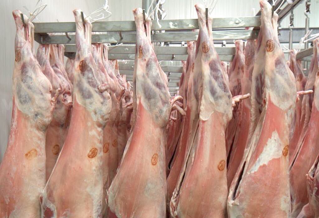 Viandes rouges: l’Algérie s’oriente vers la promotion du produit local