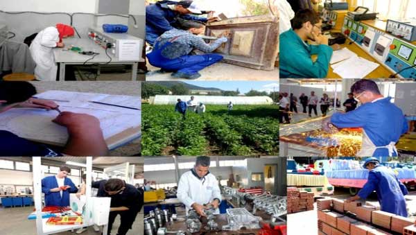 Micro-Entreprise: L’agence ANADE valide 207 dossiers supplémentaires pour le remboursement des dettes