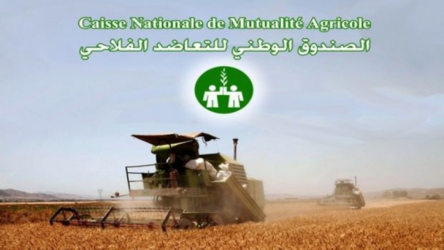 Assurance et Réassurance: Conférence et partenariat interafricaine en 2023