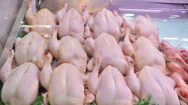MOIS DE RAMADHAN : L’ONAB avance que le prix du poulet et plafonné à 350 DA/Kg