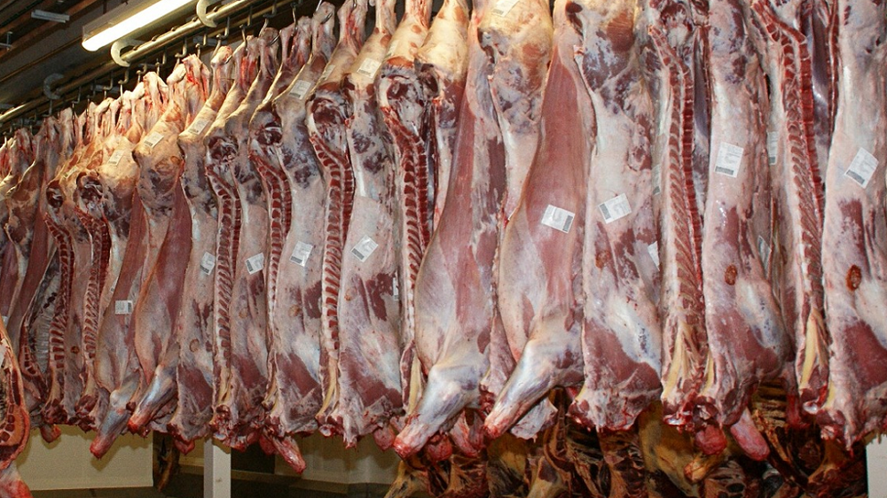 VIANDE ROUGE: Importation de 2500 têtes bovines destinée à l’abattage