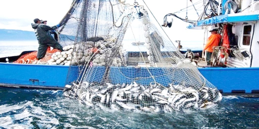 9è EDITION DU SALON DE LA PECHE ET DE L’AQUACULTURE: 174 exposants et 16 pays étrangers à Oran