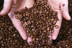 IMPORTATION DU CAFE : Plus de 60 importateurs impliqués dans une saisie de 23 000 tonnes