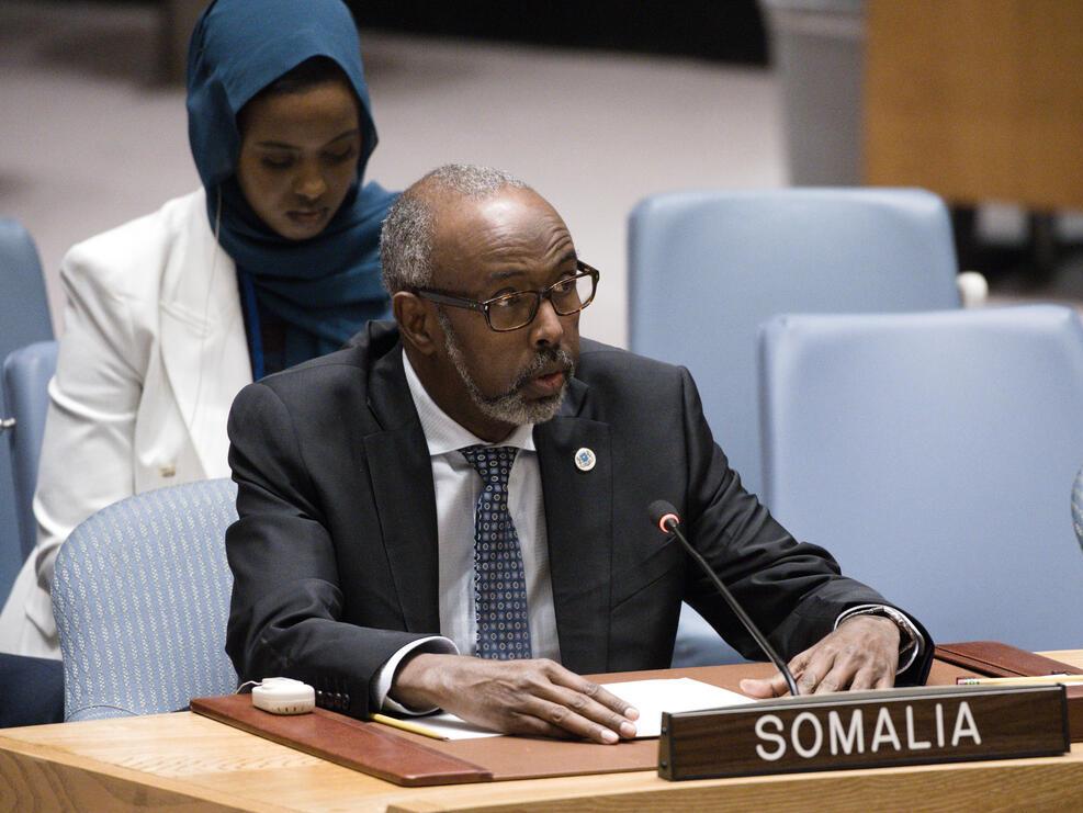 ONU-CS : Le groupe A3+ exige le retrait de la reconnaissance du Somaliland