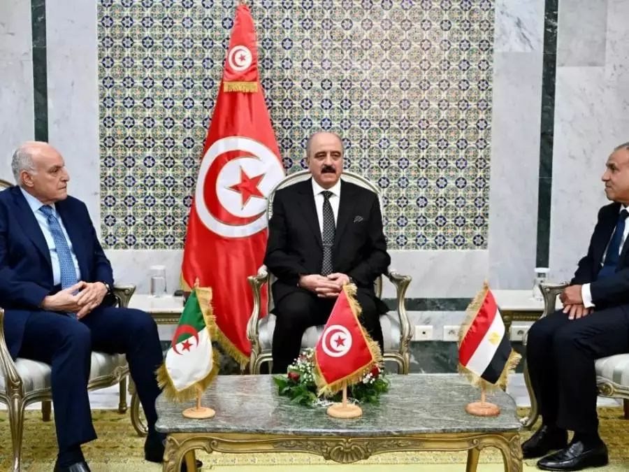 LIBYE : Les pays voisins se concertent pour une solution politique durable