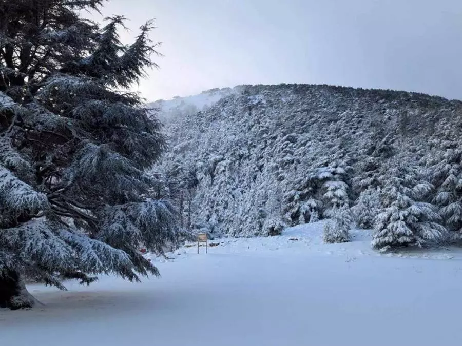 METEO : Chutes de neige dans les reliefs dépassant 1300 mètres d’altitudes