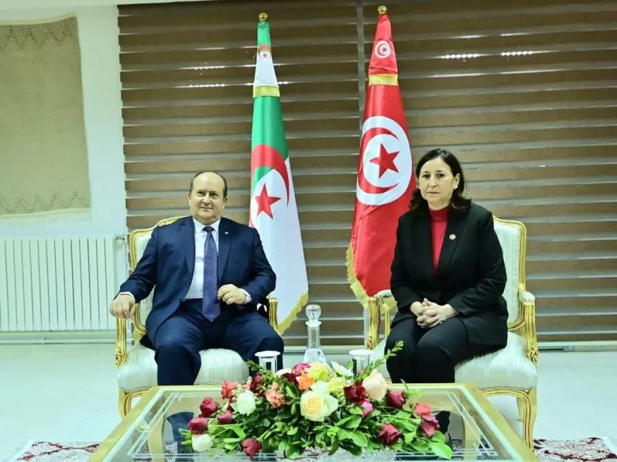 HISTOIRE ET MEMOIRE : L’Algérie et la Tunisie se remémorent le commun du sacrifice de Sakiet Sidi Youcef