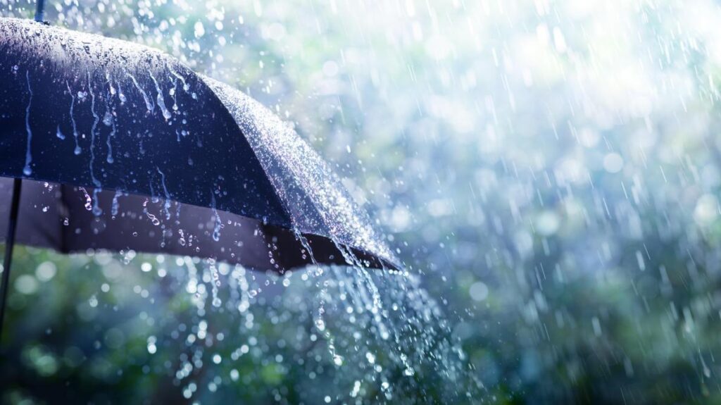 METEO: Pluies orageuses sur plusieurs wilayas du pays