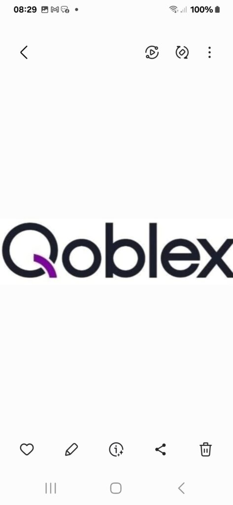E-Commerce : La Start up Qoblex s’installe en Algérie