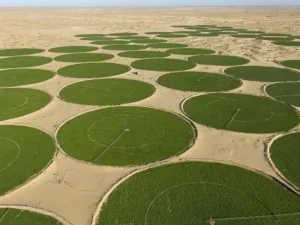 Agriculture : 80 000 hectares mis à la disposition des investisseurs pour la prochaine saison