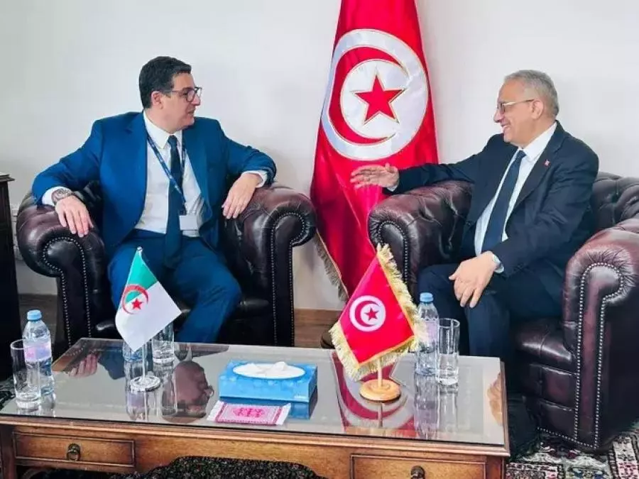 Coopération Sanitaire: Aït Messaoudane rencontre son homologue tunisien à Genève