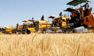 Assurance agricole: La CNMA enrigistre une croissance de 10% par rapport au bilan 2024
