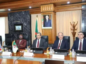 Pétrole-Afrique : Mohamed Arkab participe à la réunion ministériels de l’organisation APPO
