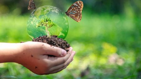 Environnement-Biodiversité: L’Algérie et le Niger examinent les perspectives de coopérations
