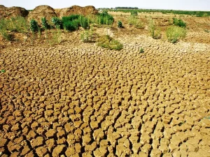 Lutte contre la sécheresse : Cap sur la sécurité alimentaire et hydrique
