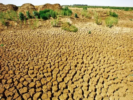 Lutte contre la sécheresse : Cap sur la sécurité alimentaire et hydrique