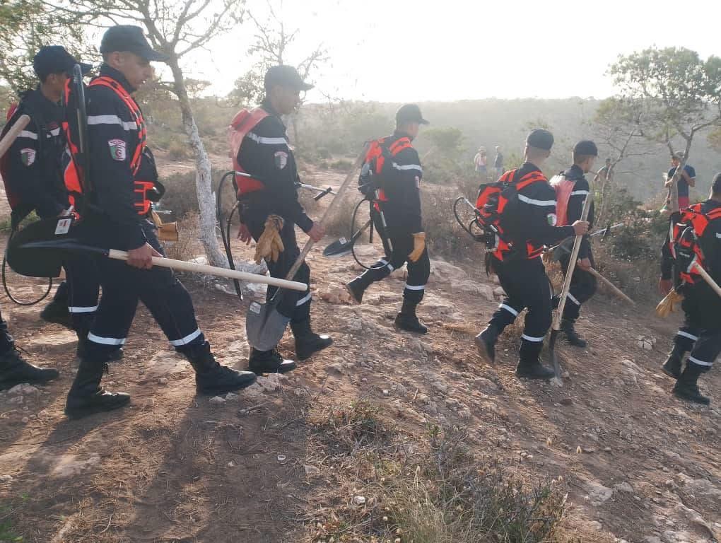 Feux de forêts : Mobilisation des moyens nécéssaires dans les zones touchées par les incendies