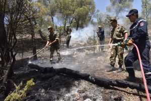 Feux de forêts : 120 incendies maîtrisés et 19 brasiers en flammes