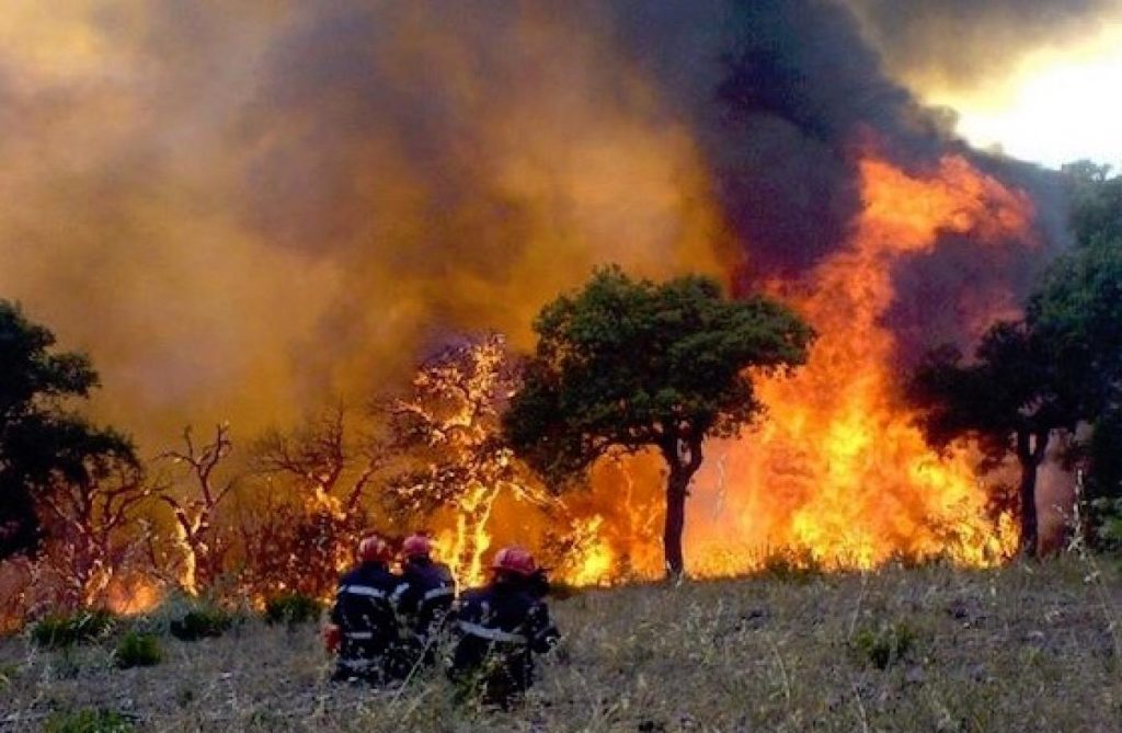 Campagne de prévention-Feux de Forêts : La vigilance générale reste de mise pour éviter les dégats humains et matériels