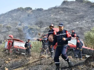 Aprés l’extinction des incendies : Au tour du recensement des dégats et l’indemnisation des victimes