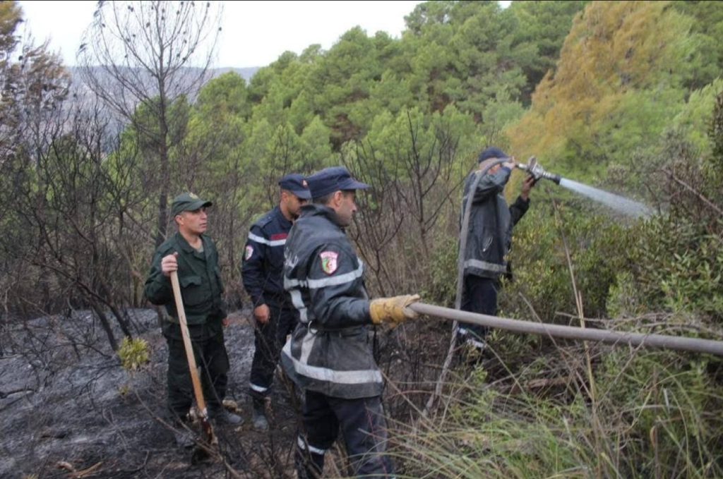 Feux de forêts : La protection civile à éteint 56 incendies sur un total 75 en 24h