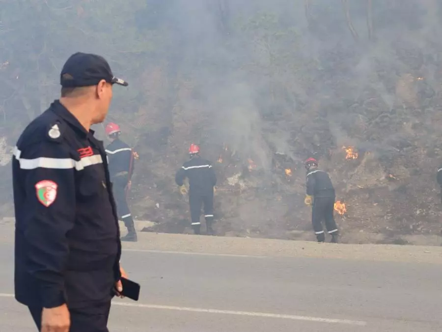 Feux de forêts: La protection civile a éteint 138 incendies sur les 154 enrigistrés au niveau national