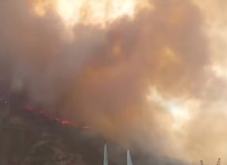 Bilan des Feux de forêts : 12 morts et 159 incendies dans plusieurs wilayas du pays