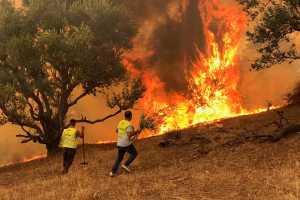 Algérie62 présente ses sincères condoléances à toutes les victimes des incendies