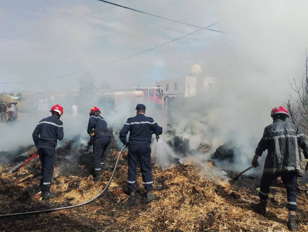 Feux de forêts : Extinction des 22 incendies restants