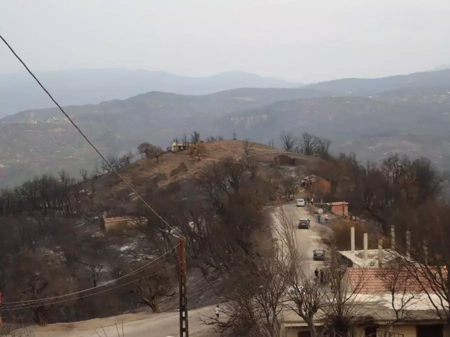 Protection civile: Extinction de 37 foyers d’incendies enregistrés en 24 heures