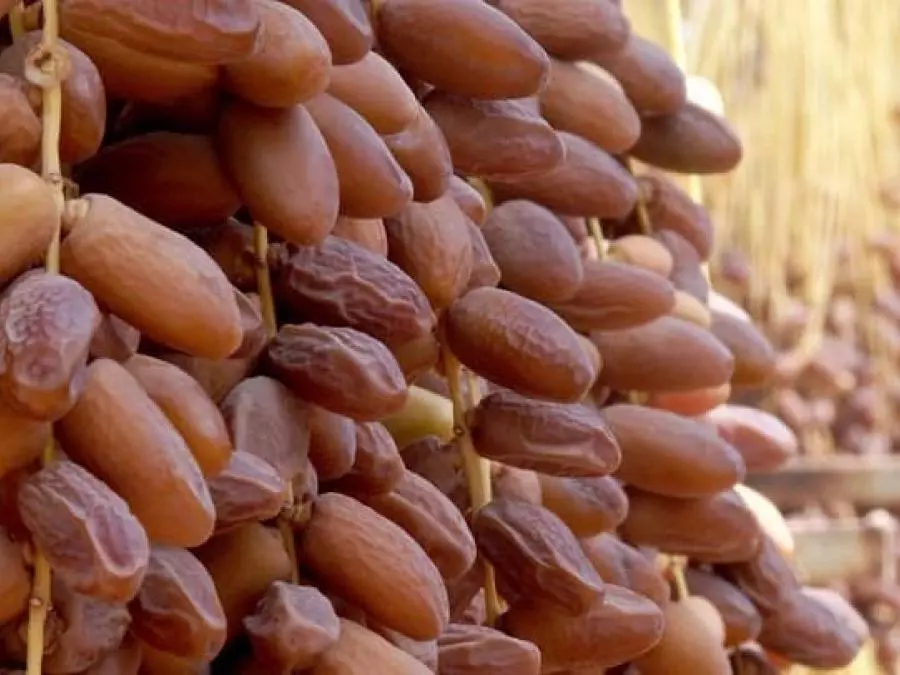 Evènement à Biskra : Le salon national des dattes aura lieu du 29 au 31 octobre
